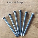 Clavo de plomo 1" calibre 14 (kg)